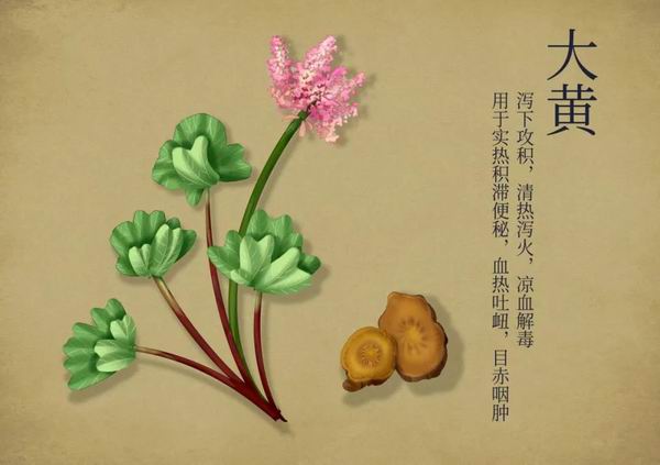 调整大小 4.jpg