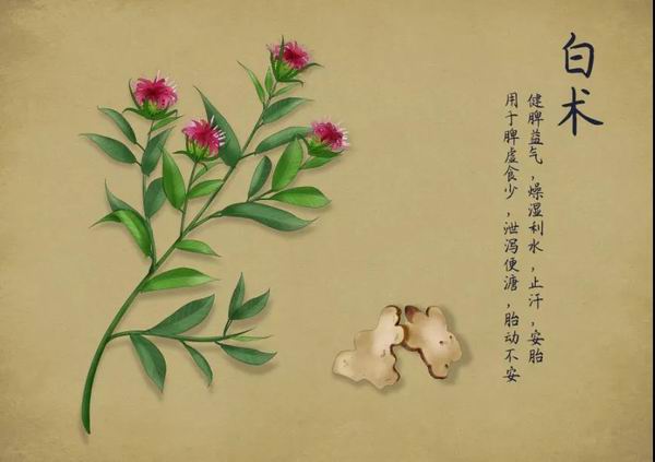调整大小 5.jpg