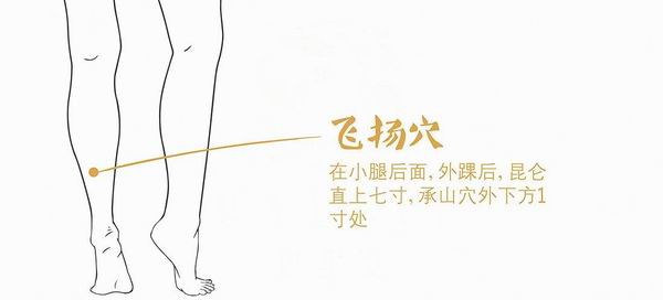 调整大小 2.jpg