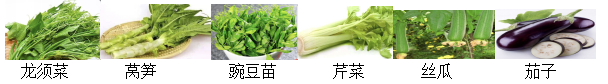 9.png