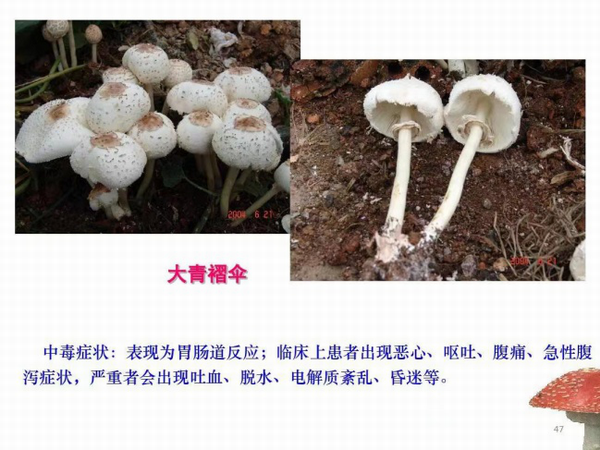 调整大小 4.png
