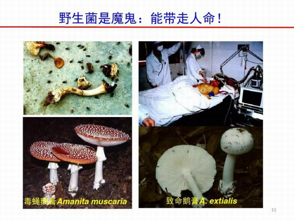 调整大小 7.png